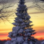 Chuyện giàu chuyện sang img 1665