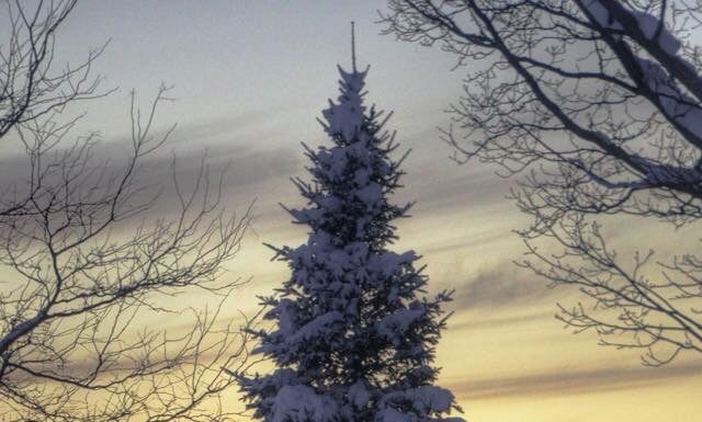 Chuyện giàu chuyện sang img 1665