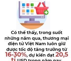 Tăng trưởng Thương mại Điện tử ở Việt Nam: 16-30% mỗi năm